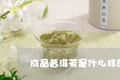 成品普洱茶是什么样的/2023093094172