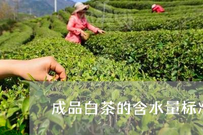 成品白茶的含水量标准表/2023102536159