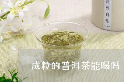 成粒的普洱茶能喝吗/2023120556360