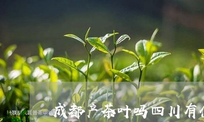 成都产茶叶吗四川有什么名茶/2023052650814