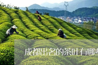 成都出名的茶叶有哪些/2023092322938