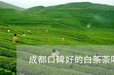 成都口碑好的白茶茶叶厂/2023102599671