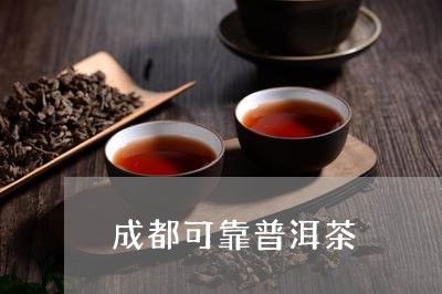 成都可靠普洱茶/2023102639602