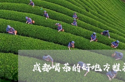 成都喝茶的好地方推荐/2023092022825