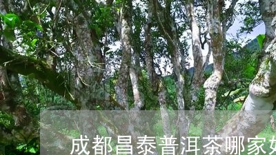 成都昌泰普洱茶哪家好/2023062300847