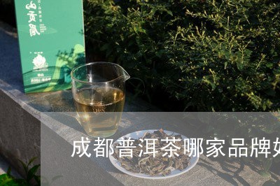 成都普洱茶哪家品牌好喝/2023081414858