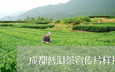 成都普洱茶宣传片样片/2023061366050