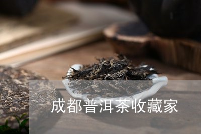 成都普洱茶收藏家/2023120410704