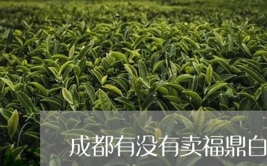 成都有没有卖福鼎白茶/2023120716284