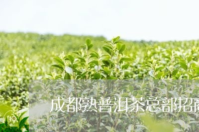 成都熟普洱茶总部招商/2023092524168