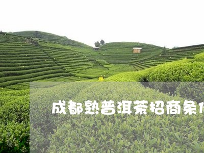 成都熟普洱茶招商条件/2023092576069