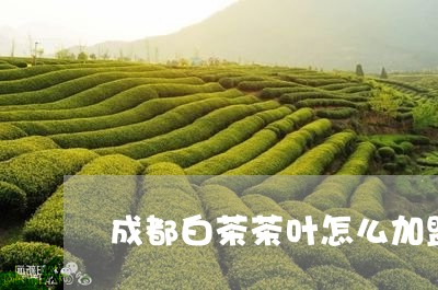 成都白茶茶叶怎么加盟/2023093013936