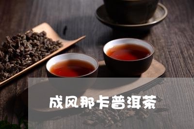 成风那卡普洱茶/2023101635858