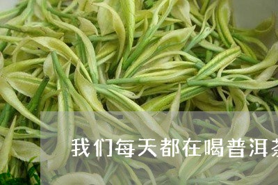 我们每天都在喝普洱茶/2023080160471