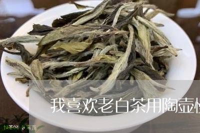 我喜欢老白茶用陶壶慢煮/2023102511584