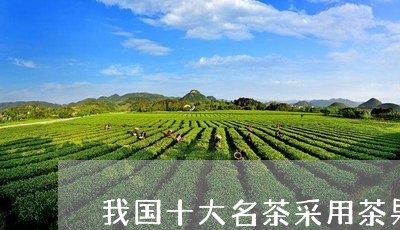 我国十大名茶采用茶果间种茶的/2023053160604