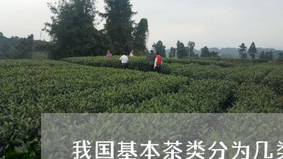 我国基本茶类分为几类/2023071520514