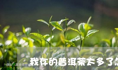 我存的普洱茶太多了怎么办/2023121682947