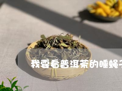 我要看普洱茶的睡蝇子/2023092901838