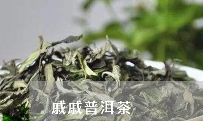 戚戚普洱茶/2023102514926