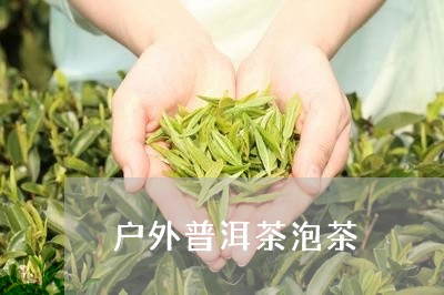 户外普洱茶泡茶/2023112621491