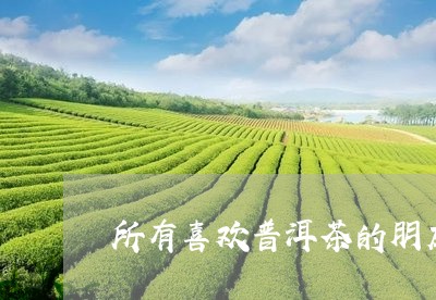 所有喜欢普洱茶的朋友/2023093018381