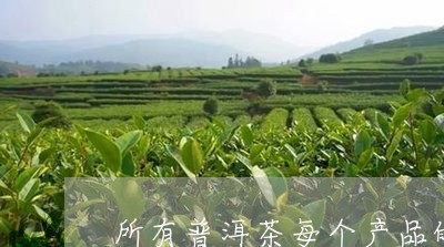 所有普洱茶每个产品的介绍/2023110699212