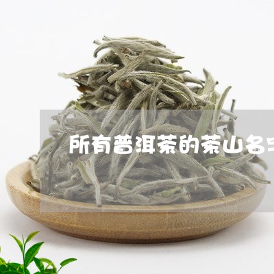 所有普洱茶的茶山名字/2023062361603