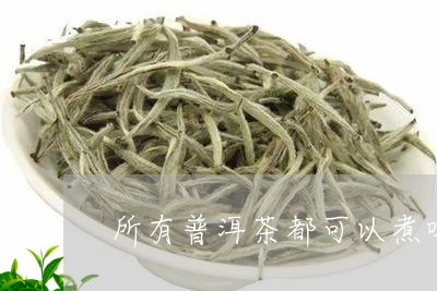 所有普洱茶都可以煮吗/2023093063715