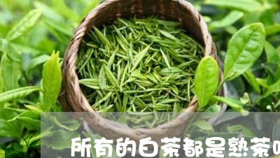 所有的白茶都是熟茶吗/2023093004949