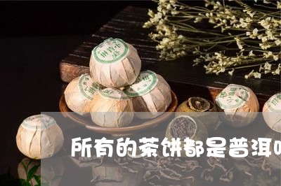 所有的茶饼都是普洱吗/2023061307262