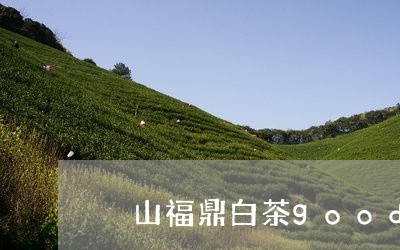 扆山福鼎白茶good/2023093014126