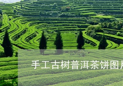 手工古树普洱茶饼图片及价格/2023082906358