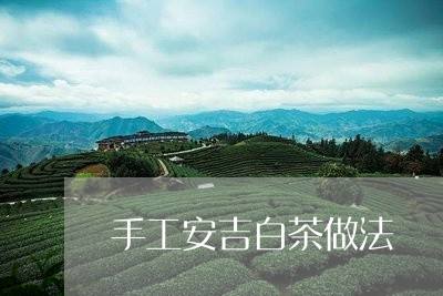 手工安吉白茶做法/2023062064814