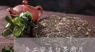 手工安吉白茶图片/2023062095049