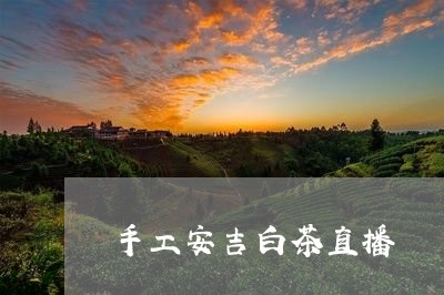 手工安吉白茶直播/2023062039271