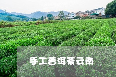 手工普洱茶云南/2023101626368