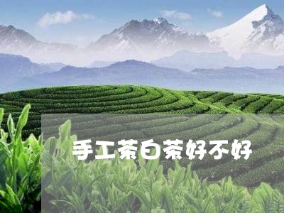 手工茶白茶好不好/2023061949591