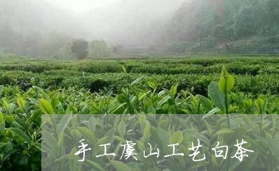 手工虞山工艺白茶/2023061989470