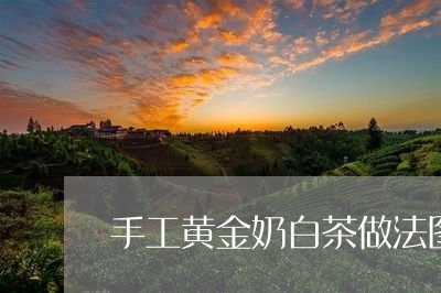 手工黄金奶白茶做法图片/2023102583958