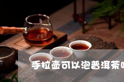 手拉壶可以泡普洱茶吗/2023072422682