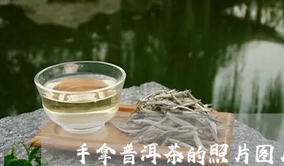 手拿普洱茶的照片图片/2023120734029