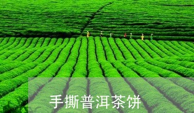 手撕普洱茶饼/2023042556585