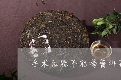 手术后能不能喝普洱茶/2023092623716