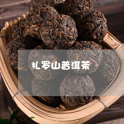 扎罗山普洱茶/2023042701115