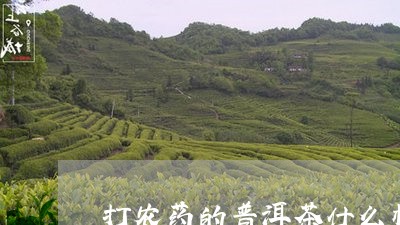 打农药的普洱茶什么样/2023061666289