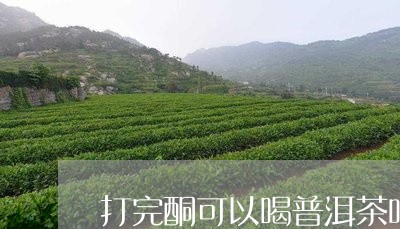 打完酮可以喝普洱茶吗/2023092916041