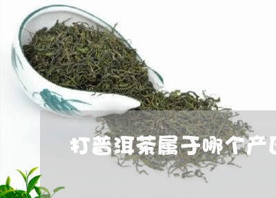 打普洱茶属于哪个产区/2023080215939