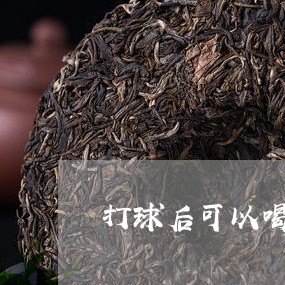 打球后可以喝普洱茶吗/2023062425140