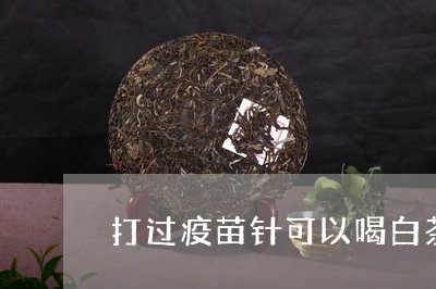 打过疫苗针可以喝白茶吗/2023102577159